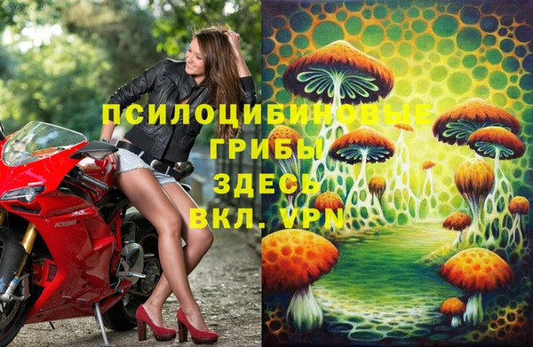амф Дмитровск