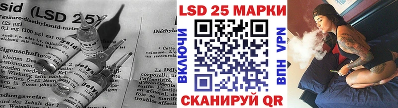 Купить закладки  Новомичуринск  Лсд 25 экстази кислота 